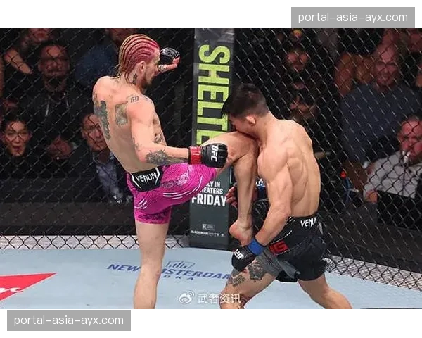 UFC 300官宣:普罗哈兹卡与希尔将争夺轻重量级临时冠军头衔 UFC 300官宣:普罗哈兹卡与希尔将争夺轻重量级临时冠军头衔